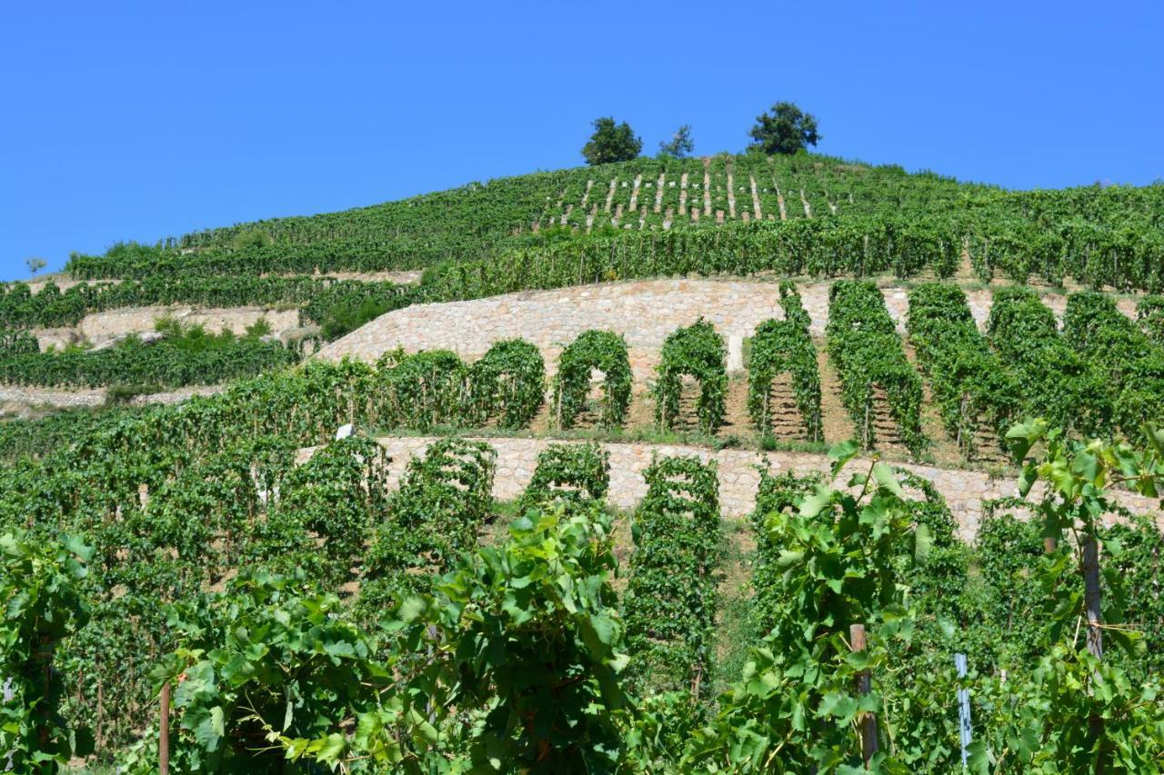 Lamaisondemamere Tournon-sur-Rhone Exteriér fotografie